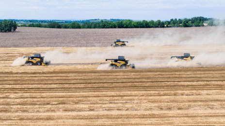 Полша, Унгария и Словакия в момента са проблемни държави за ЕС