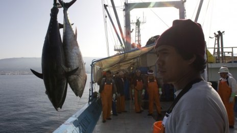 Собствените ресурси на ЕС от риба стигат само за първата половина на годината