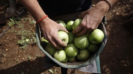Растежът на биопроизводителите се ускорява