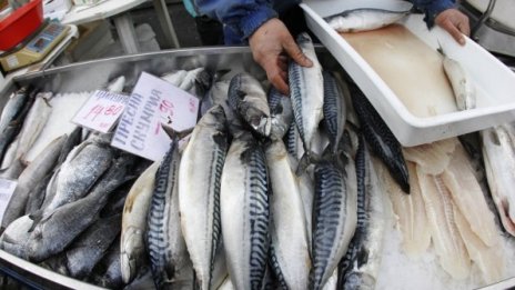 Рибарските кораби в ЕС намаляват