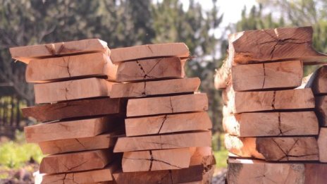 Как войната в Украйна създаде перфектната буря за мебелния бранш в България?