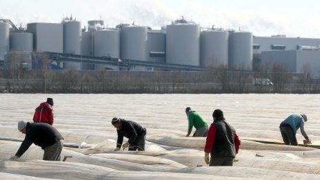 Безработицата в Германия продължава да спада