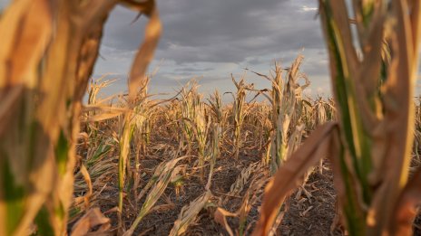 Ел Ниньо носи нов икономически ураган
