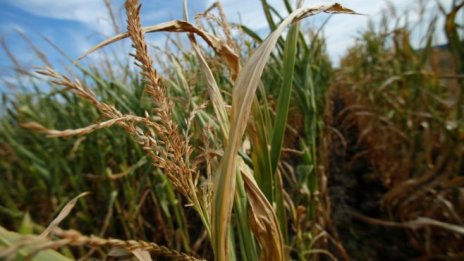 Започва приемът на документи за отстъпка от акциза за газьола