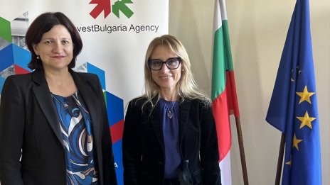 Мила Ненова поема Българската агенция за инвестиции