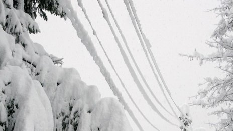 С. Тодорова: Инвестиции в мрежата са необходими, независимо дали има бедствия