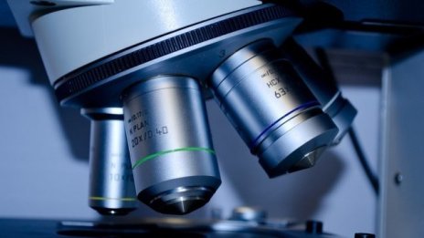 Ще намерят ли младите ни учени решение за растящата резистентност на бактериите