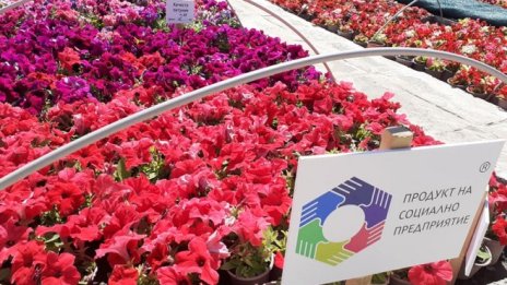 Добре дошли в „Чудната градина“ – един проект на доброто в сърцето на Добрич