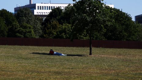 Портфолиото 60/40 не е мъртво, но не е и магическо дърво на парите