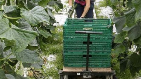 До 18 юли пращаме в Брюксел поисканите компенсации от зеленчукопроизводителите