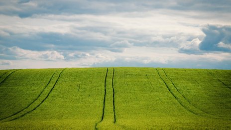 „ЕЛАНА Фонд за земеделска земя“ разпределя дивидент от малко над 1 ст. на акция