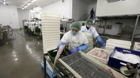 Латвийската рибна промишленост губи руския пазар