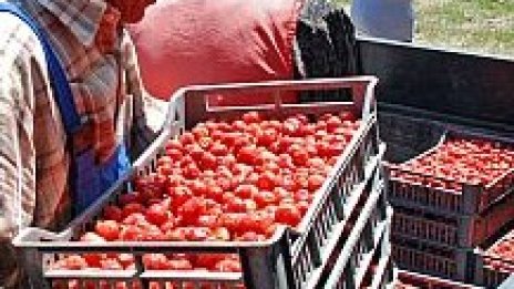 Бъдещата агрополитика на ЕС - с амбиции за ново разпределение на средствата