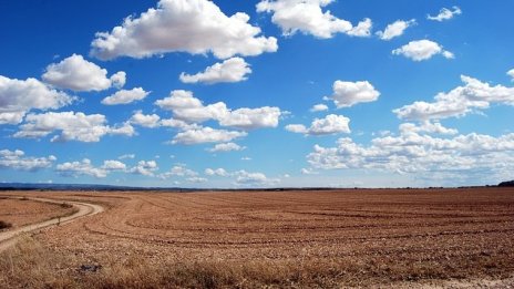 Десеткратно се е увеличила ефективността в селското стопанство у нас