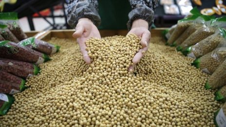 Лабораториите в България тестват най-често за ГМО соята и соевите продукти