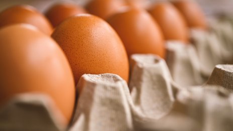 ЕС удължава безмитния внос от Украйна, но с мерки за защита на местната продукция