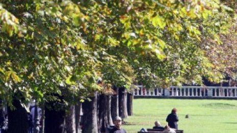 Започват ремонти в Борисовата градина за 1,7 млн. лв. 