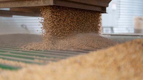 Китай замрази някои мита за САЩ, но високите налози за купувачите на соя остават