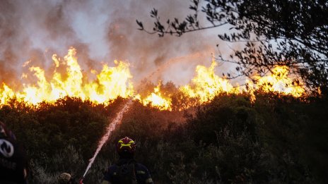 Пазарите не са в състояние да спрат климатичните промени
