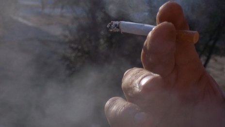 Менда Стоянова: По-евтините цигари ще поскъпват по-бързо догодина