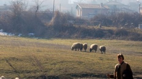 Общините са договорили проекти за 340 млн. евро по програмата за селските райони