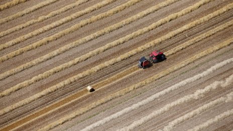 Земеделското министерство анализира варианти за подкрепа на оранжериите