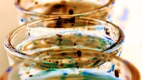 ЕП се опитва да блокира твърденията, че енергийните напитки имат тонизиращ ефект