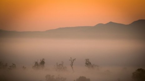 Европа рискува нова фалшива икономическа зора след коронавируса