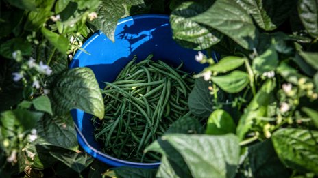 ЕС не трябва да се страхува от надпревара за зелени субсидии със САЩ