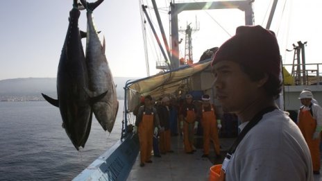 Валентин Вълков е новият изпълнителен директор на ИАРА