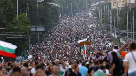 2013 г. - годината на протестите