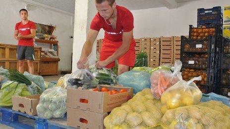 Ръст на производството на зеленчуци прогнозират агроексперти