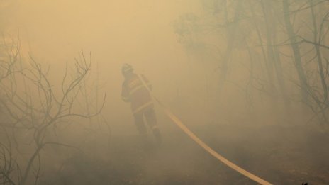 До Северния полюс: димът от пожарите в Русия