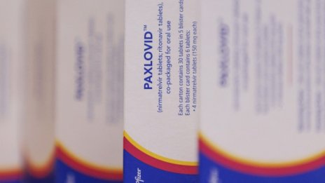 Европейската агенция по лекарствата одобри за употреба Covid хапчето на Pfizer