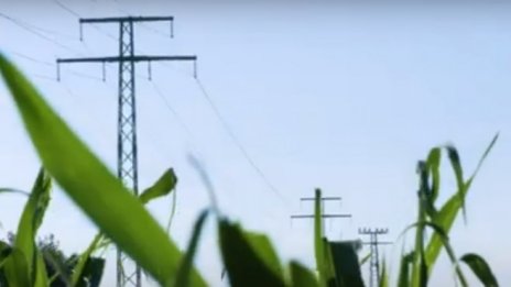 Печалбата на „ЧЕЗ Разпределение“ нарасна с една трета през 2021 г. 