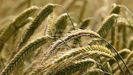 Как изглежда търговската война през очите на американските фермери?