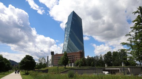 Ако ЕЦБ задържи лихвите на високи нива твърде дълго, ще навреди на икономиката