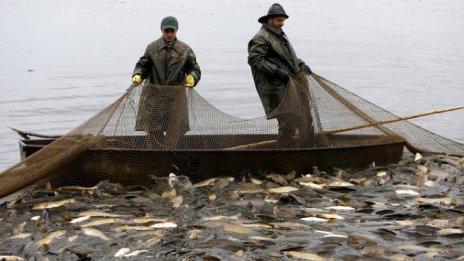 Договорените средства по Програмата за морско дело и рибарство вече са над 167 млн. лева