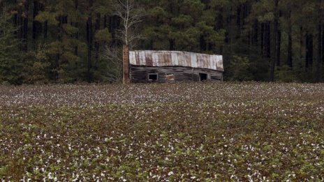 Искат отлагане на глобите за офшорни фирми с ниви за трети път