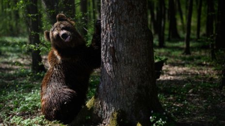 Защо сегашният мечи пазар при криптовалутите е различен от 2018 г.?