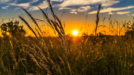 Храните по света продължават да поскъпват до нов рекорд през март