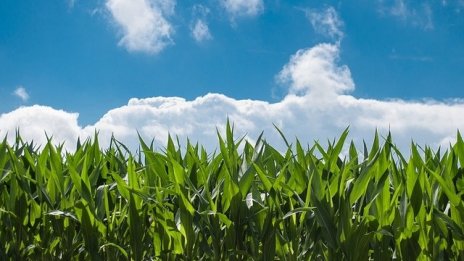 Земеделците очакват ограничен европейски бюджет за сектора след 2020 г.