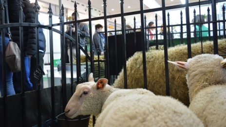 Нови сортове и здравословни храни търсят път към потребителите