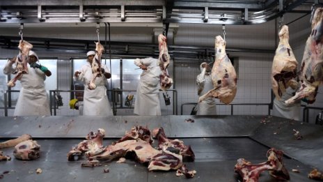 Guardian: Много от заводите за месо в САЩ страдат от тежки хигиенни пропуски