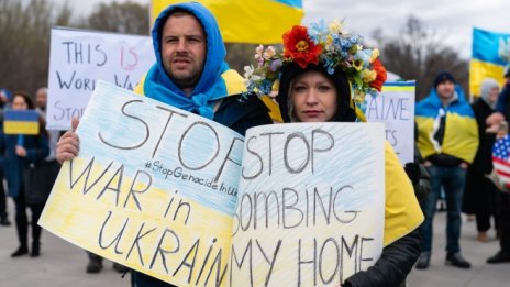 Никаква теория не може да обясни украинската криза