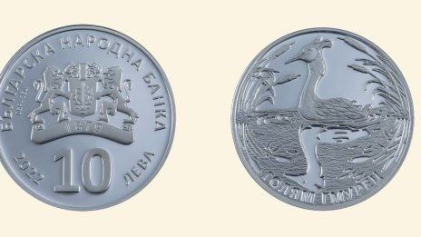 БНБ пуска в обращение сребърна възпоменателна монета „Голям гмурец“