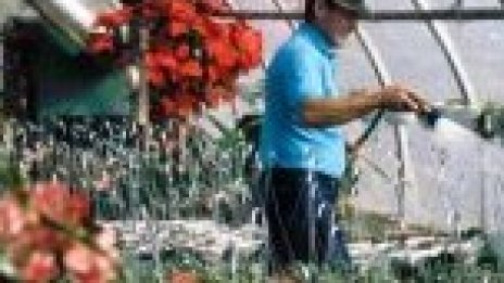 Пуска се остатъчният бюджет от 24 млн. евро за микробизнес в селските райони