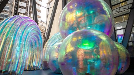 Кадър на деня за 29 февруари