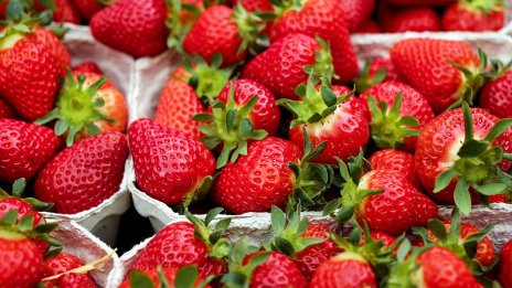 Как български производител на ягоди проби в големите вериги у нас