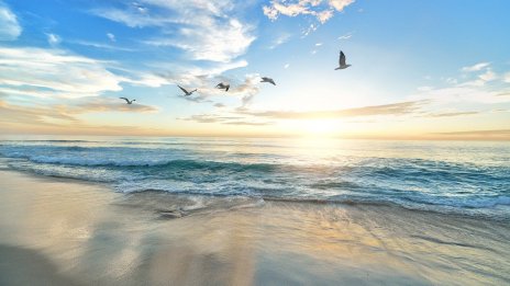 "Албена" отдава втори хотел на франчайз на международната верига Maritim